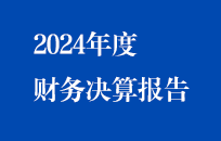 節(jié)能?chē)?guó)禎2024年度財(cái)務(wù)決算報(bào)告（簡(jiǎn)版）